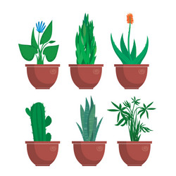 cartoon indoor plants vector image