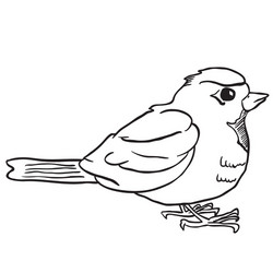 Simple black and white robin vector