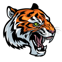 angry tiger head roaring vector image