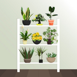 collection of houseplants flat style vector image