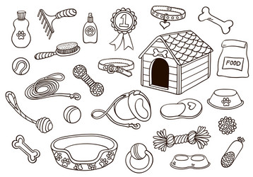 set of accessories for dogs vector image