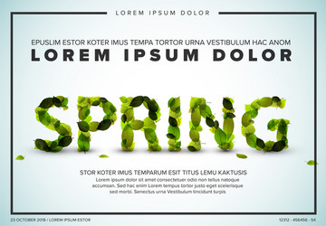 spring lettering flyer made from fresh green leafs vector image