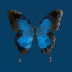 dark blue butterfly in polygonal technique vector