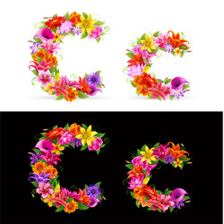 flower font vector image