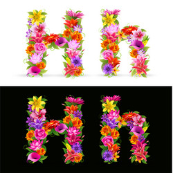 flower font vector image