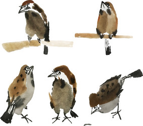 isolated sparrows painted in chinese technique vector