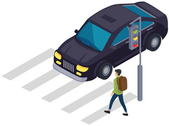 car near pedestrian crossing marking on street vector image