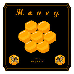 Honey vector