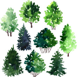 set of trees drawing by watercolor vector image