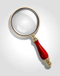 magnifier icon vector image