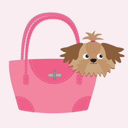 Little glamour tan shih tzu dog in the pink bag vector