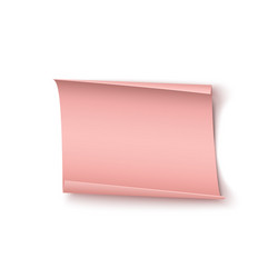 abstract pink paper banner isolated on white vector image