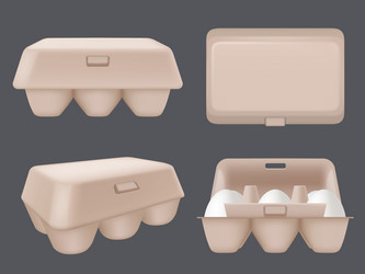 eggs packages cardboard containers for tray vector image