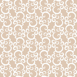 seamless white lace vector image