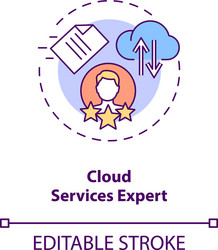 cloud services expert concept icon vector image