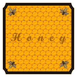 Honey vector