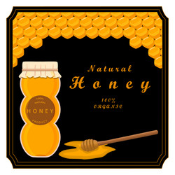 Honey vector