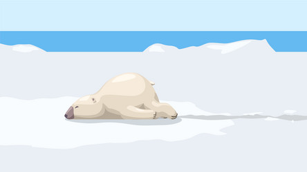 cute fun white bear on snow vector image