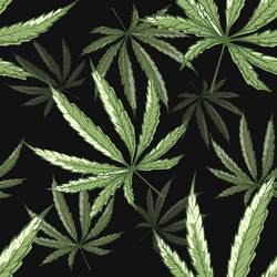 marijuana seamless pattern vector image