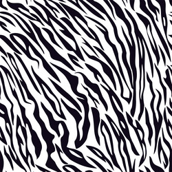 tiger white black stripe pattern vector image