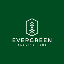 modern pine tree logo design vector image