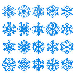 set of snowflakes vector image