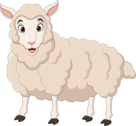 cartoon funny lamb on white background vector image