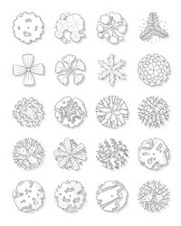 hand drawn set of top view trees vector image