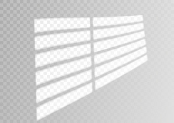 transparent overlay window and blinds shadow vector image