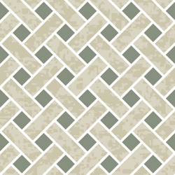 seamless basket weave background pattern vector image