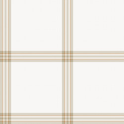 brown minimal plaid textured seamless pattern vector image