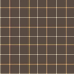 brown minimal plaid textured seamless pattern vector image