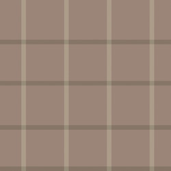 brown minimal plaid textured seamless pattern vector image