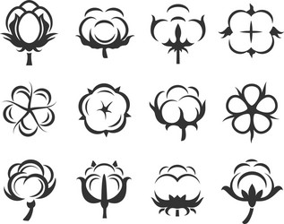 cotton flowers icon set isolated from vector image