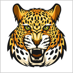 Jaguar portrait jaguars head on white vector