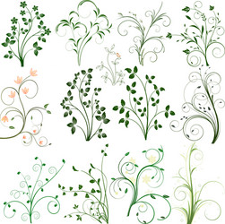 floral pattern art decoration design vector image