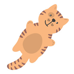 cute cartoon red striped fly cat vector image