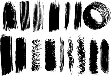 detail brush paint stroke collection vector image