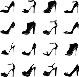 elegant shoes vector image