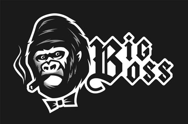 big boss angry gorilla with a cigar on dark vector image