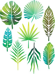 green leaves vector image