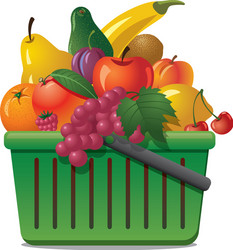 basket with fruits vector image