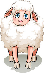 a white sheep vector image