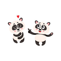 Two baby panda characters one pointing to another vector