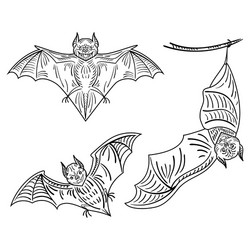 set bats a collection terrible vector image