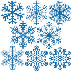 snowflakes vector image