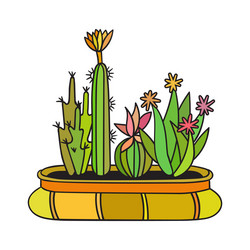 cactus with black contour vector image