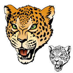 jaguar head vector image