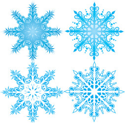 snowflakes design vector image