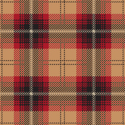 red tartan plaid seamless pattern vector image